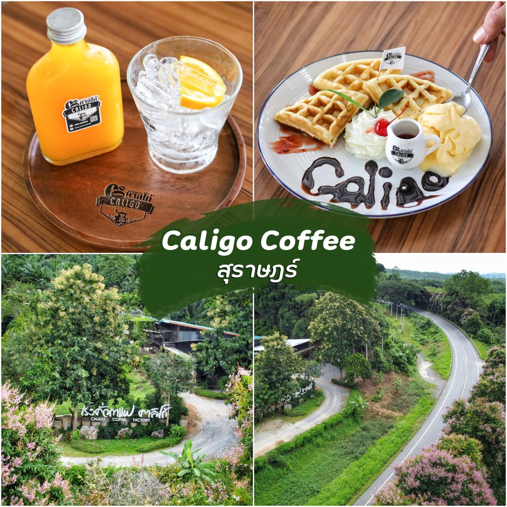 Caligo Coffee Factory โรงคั่วกาแฟกลางหุบเขา บรรยากาศท่ามกลางธรรมชาติ