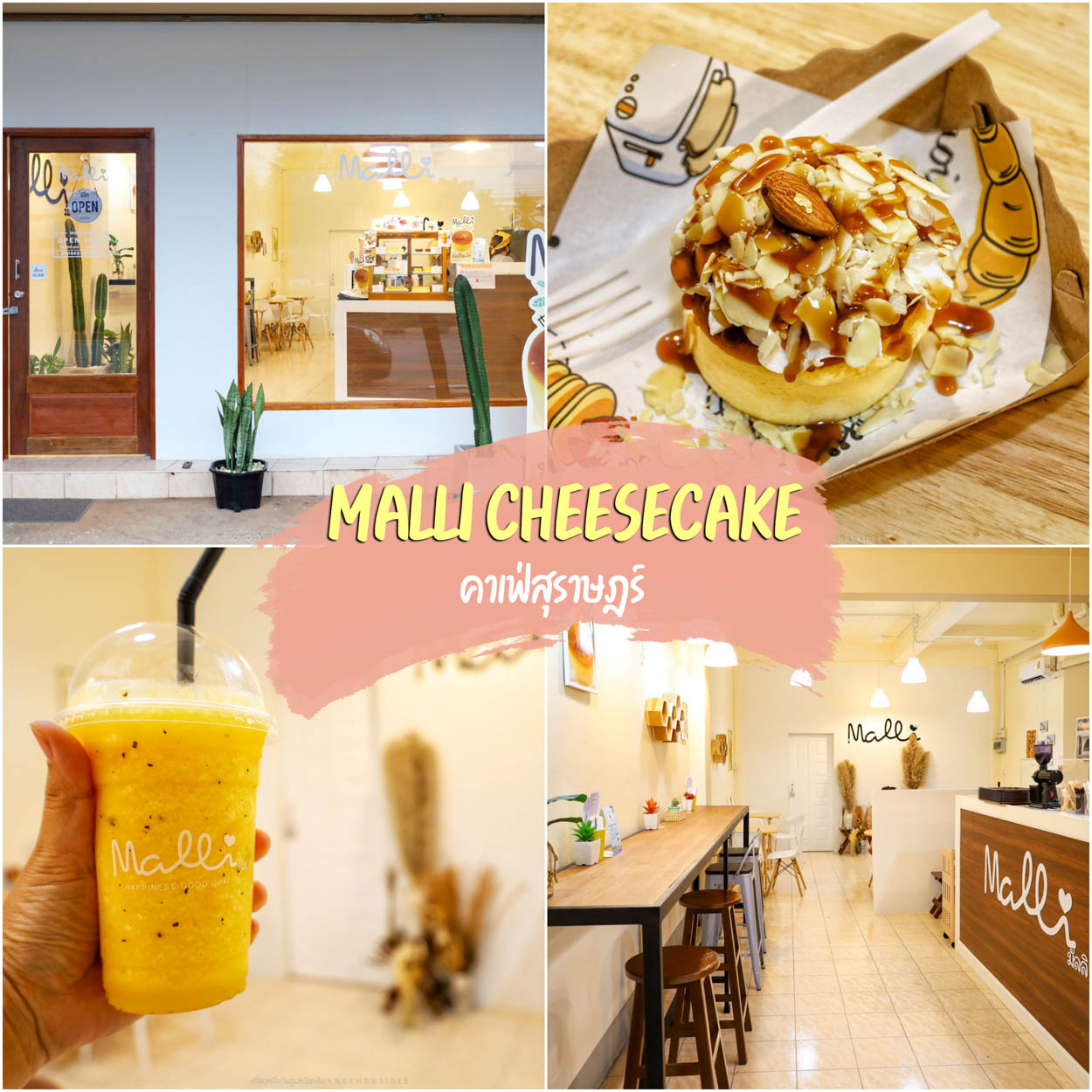 Malli Cheesecake สุราษฎร์ธานี มัลลิชีสเค้ก ชีสเค้กคนไทย รสชาติญี่ปุ่นจากโอซาก้า